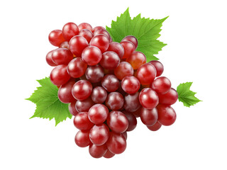 Fototapeta premium Set of ripe whole grapes fruit