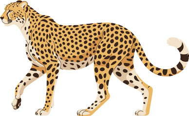 Cheetah walking illustration, wild animal vector, fast predator design, spotted big cat art, African wildlife concept, jungle nature element