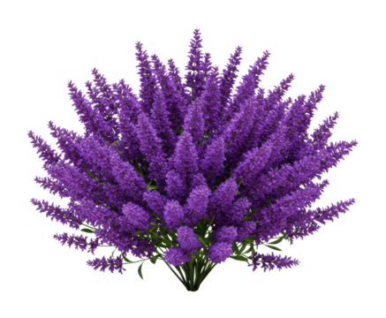 Floral arrangement displaying vibrant purple flowers nature setting decorative content bright environment botanical concept. Cut out png