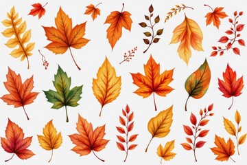 Obraz premium collection watercolor style isolated on white background clipart include at least 10 isolated autumn leaves themed elements and leave a 10% margin clear around the sheet to avoid cropping
