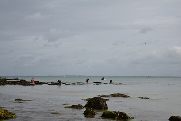 Pêche à la crevette à Noirmoutier. France	