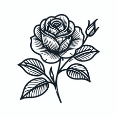 Vector line art image of a rose
