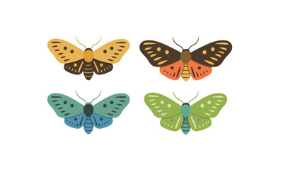 Set of four colorful moths with unique patterns in a whimsical, flat vector illustration style on a white background.

