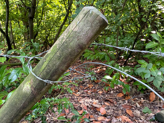 Close-up of a wooden post with barbed wire in a broken fence effect in a woodland, highlighting rustic fencing, rural textures, and outdoor natural scenery.