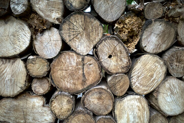 A large stack of neatly cut piled tree logs, the natural patterns of the wood grain