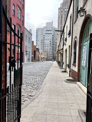 Obraz premium Historic Cobblestone Street in Urban Neighborhood with Gated Entrance