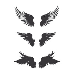 eagle with wings