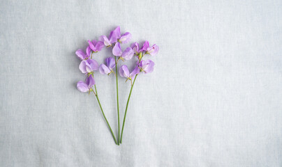 Sweet Pea Flower Celeste Blue on Linen