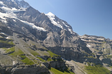 Fototapeta premium A summer view of the north face of the Jungfrau and Mönch in Switzerland, as seen from the Eiger Ultra Trail.