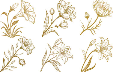 beauty golden flower set..seamless floral pattern with flowers