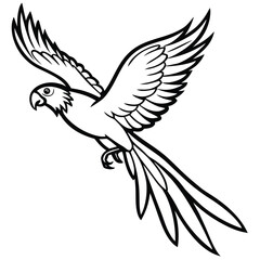 Obraz premium Black and white outline illustration of a macaw parrot in flight with wings spread wide and long tail feathers