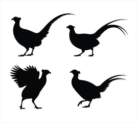 Ring-Necked Pheasant Wildlife Silhouettes