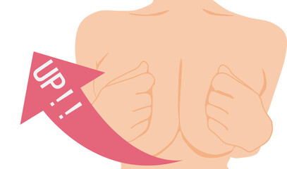 バストアップのグラフィック素材イラスト	
