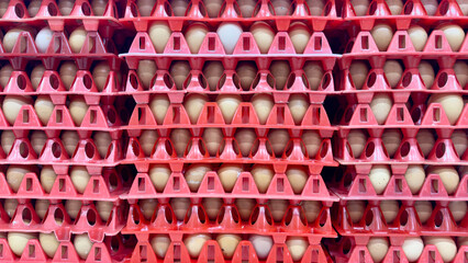 Group of natural brown eggs stacked in a red rack, fresh poultry product commonly used for breakfast, baking recipes, and healthy daily meals