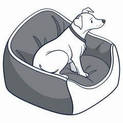 White dog sitting in grey pet bed animal canine