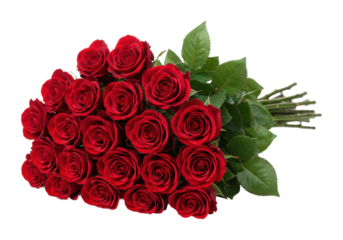 Bouquet of red roses for romantic occasions floral arrangement home decor bright environment love expression. Cut out png