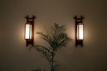 Parlour Palm, scientifically known as Chamaedorea elegans, houseplant with brown wooden background...