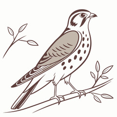 Beautiful Bird Vector Illustration in Minimal Art Style