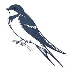 Beautiful Bird Vector Illustration in Minimal Art Style