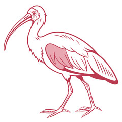 Beautiful Bird Vector Illustration in Minimal Art Style