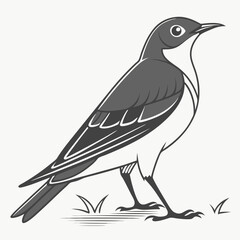 Beautiful Bird Vector Illustration in Minimal Art Style