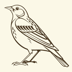 Beautiful Bird Vector Illustration in Minimal Art Style