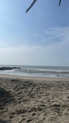 Scenic Tropical Beach and Ocean Horizon Under Blue Sky