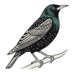 Obraz premium Beautiful Bird Vector Illustration in Minimal Art Style