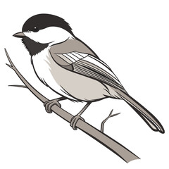 Beautiful Bird Vector Illustration in Minimal Art Style