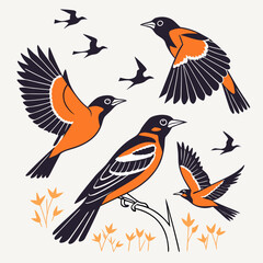 Beautiful Bird Vector Illustration in Minimal Art Style