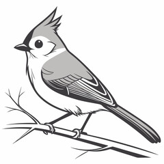 Beautiful Bird Vector Illustration in Minimal Art Style