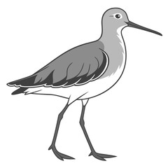 Beautiful Bird Vector Illustration in Minimal Art Style