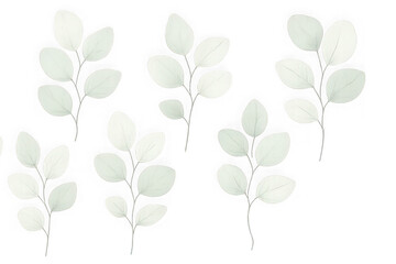 Obraz premium Several delicate white leaves on thin stems isolated on transparent background