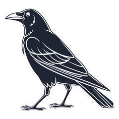 Beautiful Bird Vector Illustration in Minimal Art Style