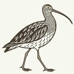 Beautiful Bird Vector Illustration in Minimal Art Style