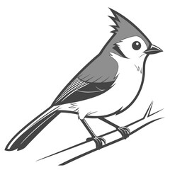 Beautiful Bird Vector Illustration in Minimal Art Style
