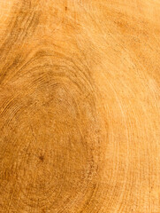 Textured Brown Sand Background - Warm Minimalist Design for Digital Backdrops, Nature-Inspired Aesthetic, Wallpaper for Devices, Creative Projects, and Elegant Marketing Materials