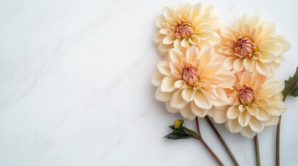 和紙のような質感のベージュの菊の花