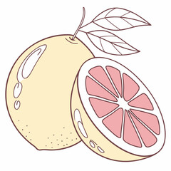 Fresh Fruit Vector Illustration in Minimal Art Style
