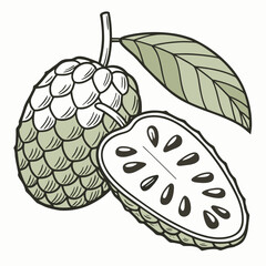 Fototapeta premium Fresh Fruit Vector Illustration in Minimal Art Style