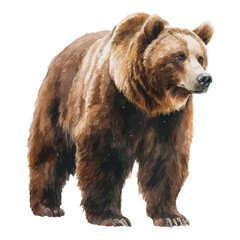 A watercolor painting of Bear, vector illustration on white background.