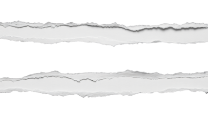 Two horizontal torn paper edges on a transparent background creating a textured overlay effect