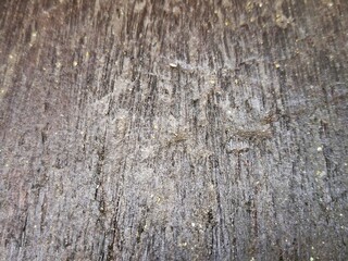 Obraz premium Old weathered brown wooden wall with rough texture and natural wood grain pattern