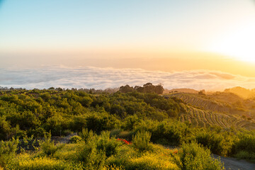 Sonnenuntergang über dem Wolkenmeer - La Palma