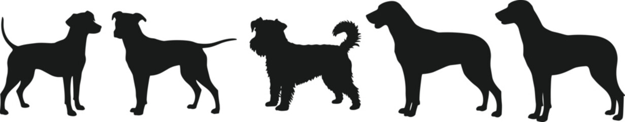 Silhouettes of five different dogs standing side by side, showing various dog breeds in black outline with clear profile and tail poses