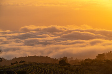 Sonnenuntergang über dem Wolkenmeer - La Palma