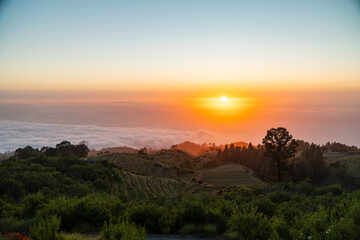 Sonnenuntergang über dem Wolkenmeer - La Palma