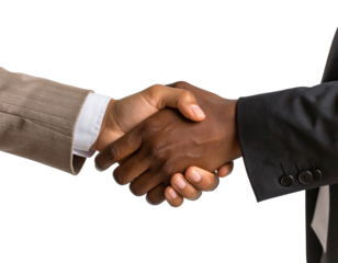 Businesspeople handshake