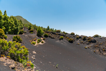 Montaña de Tamanca – Vulkanlandschaft, La Palma © Florian Braun