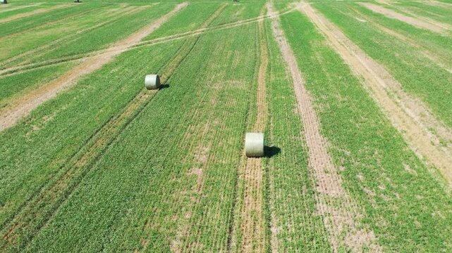 Aerial view of hay bales in the field after harvest in the countryside